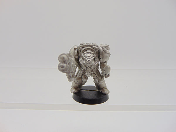 Wolf Guard Terminator