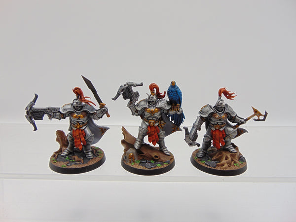 The Farstriders