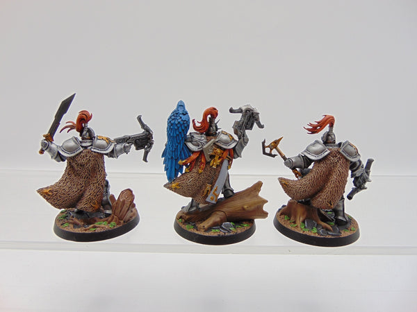 The Farstriders