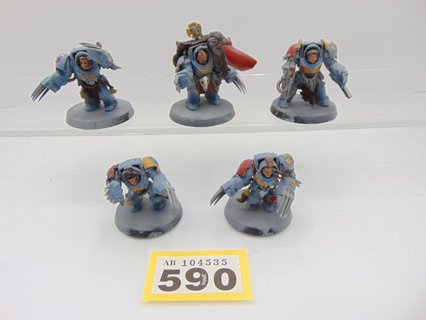 Wolf Guard Terminators