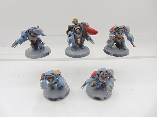 Wolf Guard Terminators