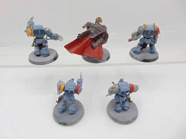 Wolf Guard Terminators