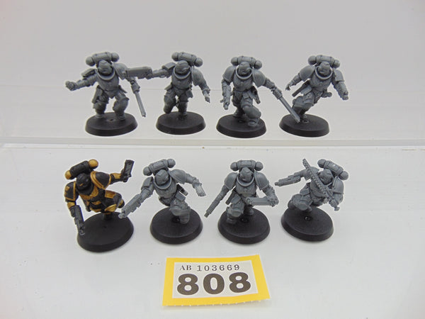 Assault Intercessors