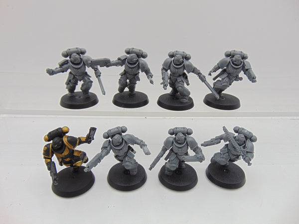 Assault Intercessors