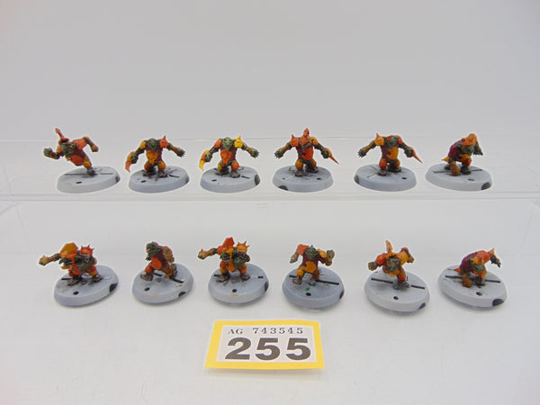 Goblin Blood Bowl Team