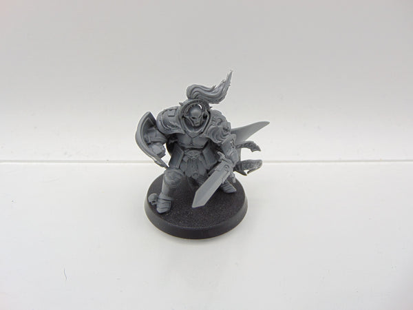 Knight Questor