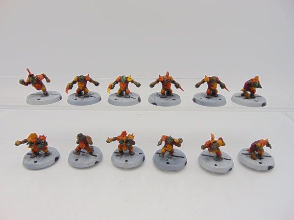 Goblin Blood Bowl Team