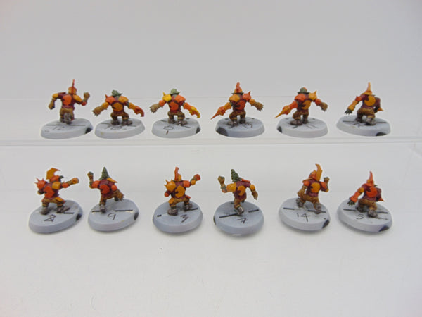 Goblin Blood Bowl Team