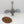 Archaeopter Fusilave