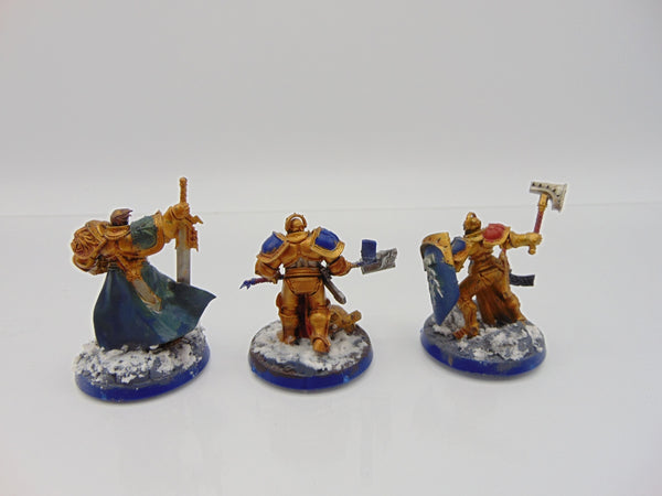 Steelheart's Champions