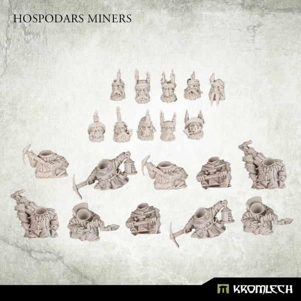 Hospodars Miners (10)