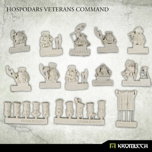 Hospodars Veterans Command (10)